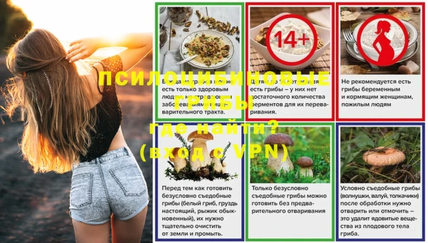 эйфоретик Абинск