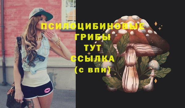 кокс Алексеевка